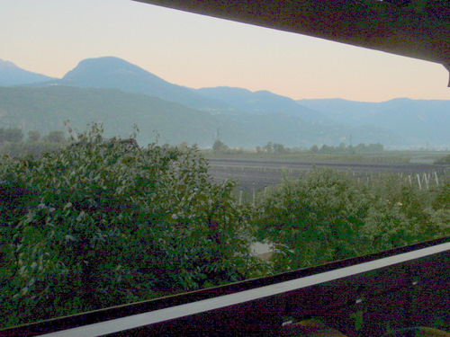 The morning view from our bedroom window across the Apple Orchard.